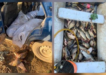 700 келіден астам балық аулаған: ШҚО-да браконьерлер ұсталды