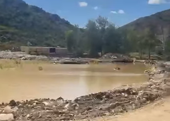 «Бұл елдің иесі жоқ па?!»: белгілі ғалым табиғатқа араша сұрап дабыл қақты