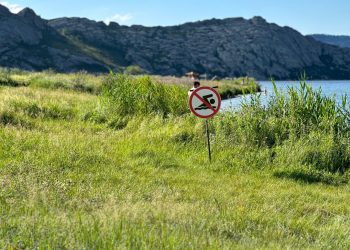 Жағажайға ақы төлеу заңды ма: министрлік жауап берді