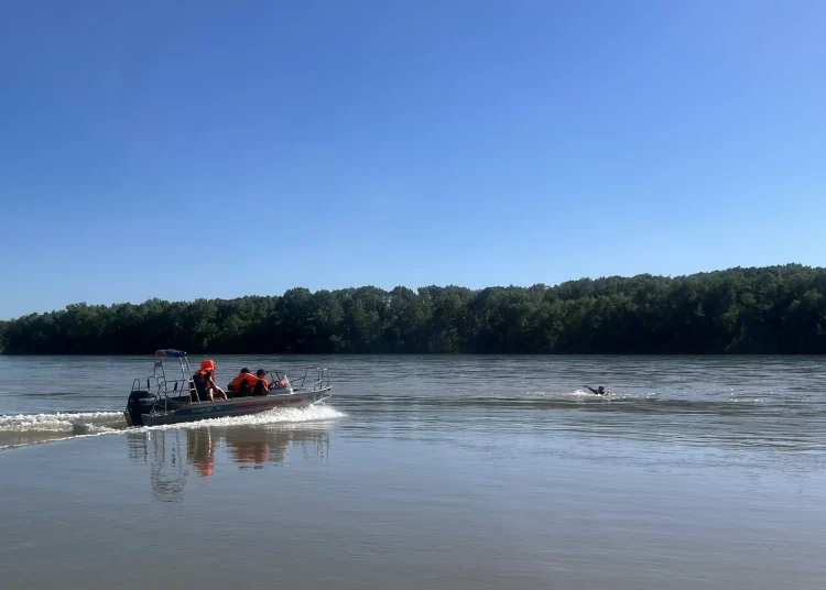 Ертіске шомылуға барған: өскемендік тұрғын іздестіріліп жатыр