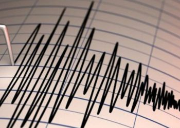 Алакөл маңында жер сілкінді