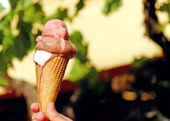 ТМД елдерінде қазақстандық балмұздаққа сұраныс жоғары