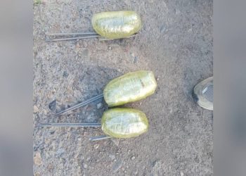 Шемонаихада колонияға ірі көлемде есірткі өткізбек болған азамат ұсталды