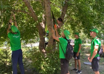 ШҚО жастары қоғамға да, өзіне де пайдалы іс атқарып жүр