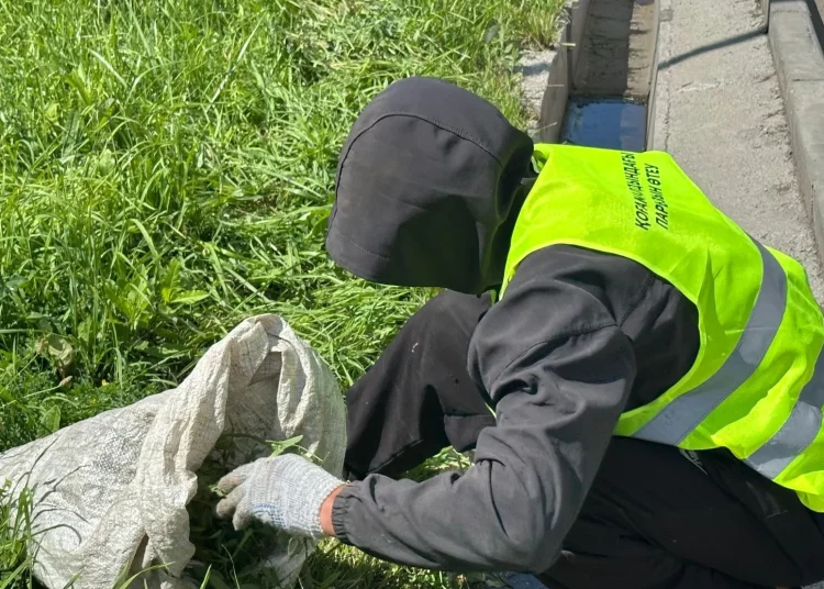 Фото: ШҚО бойынша ҚАЖД баспасөз қызметі