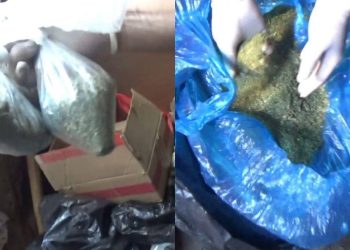 ШҚО полицейлері 8 келіден астам марихуана мен гашиш тәркіледі