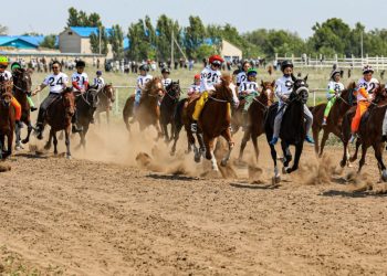 “MARQA FEST”: Марқакөлде аламан бәйге, тай жарыс өтеді