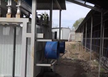 Бір қаланың жарығы: ШҚО-да 9 млрд теңгенің электр қуатын ұрлаған