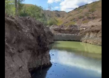 Марқакөлде жер қойнауын заңсыз пайдаланған азамат жауапқа тартылды