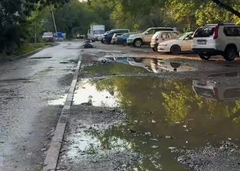 Валеологиялық мектептің аумағы абаттандырылады – Өскемен