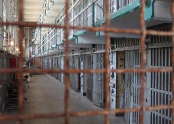 Түрмедегі әйелдердің жағдайын жеңілдететін жоба әзірленді