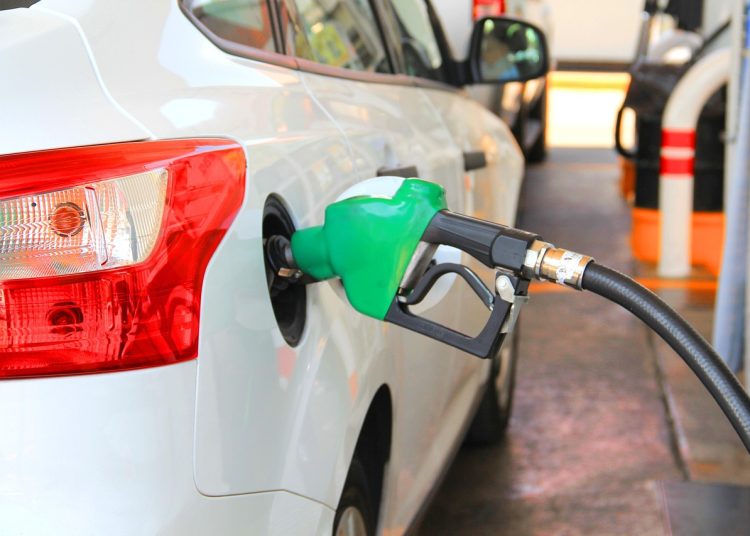 Фото: pixabay.com