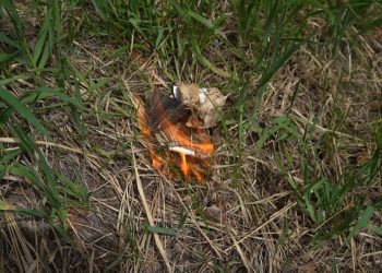 Өрт қауіпсіздігі ережесін бұзған 83 адам жауапқа тартылды – ШҚО