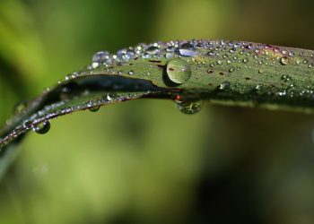 ШҚО-да ауа температурасы төмендейді