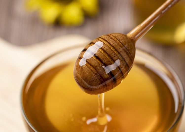 Фото: pixabay.com