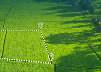 ШҚО-да жер телімін беруден негізсіз бас тартқан мемқызметші жазаланды