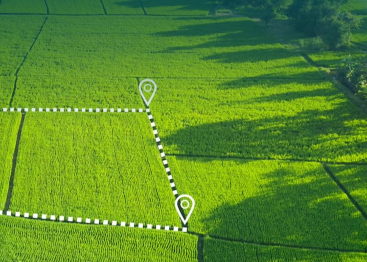 Фото: Мемлекеттік қызмет істерінің ШҚО бойынша департаменті