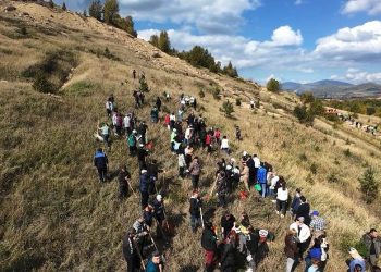 Риддерде өткен ауқымды акцияға 400-ден астам адам қатысты