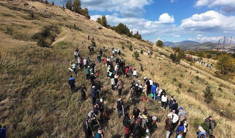 Фото: ШҚО өңірлік коммуникациялар қызметі