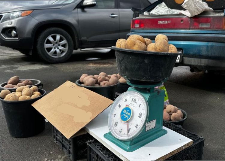 Глубокое ауданынан жәрмеңке келе жатыр