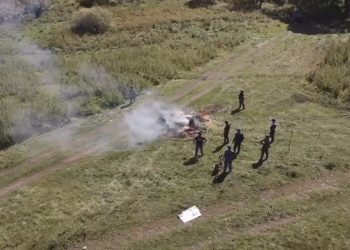 ШҚО-да ірі есірткі алқабы жойылды