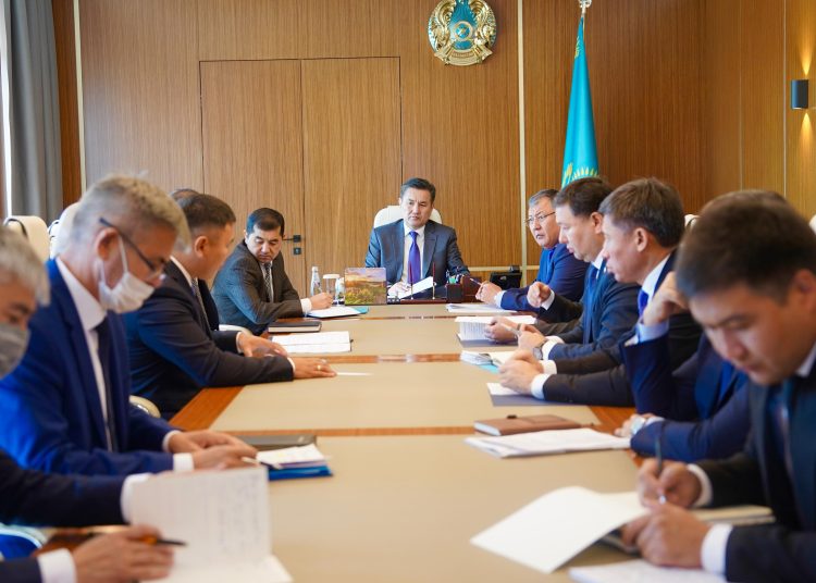 Маралдыдағы жағдай: өлген малдың иелеріне өтемақы төлене ме?