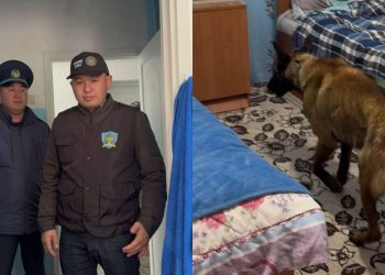 Полицейлер колледжге рейд жүргізді – ШҚО