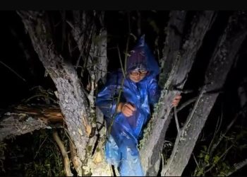 Саңырауқұлақ теремін деп орманда адасып кеткен зейнеткер табылды – ШҚО