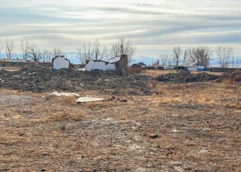 Алдағы 15 жылда азық-түлік проблемасы туындауы мүмкін: Қазақстанда ауылдар қаңырап бос қалып жатыр