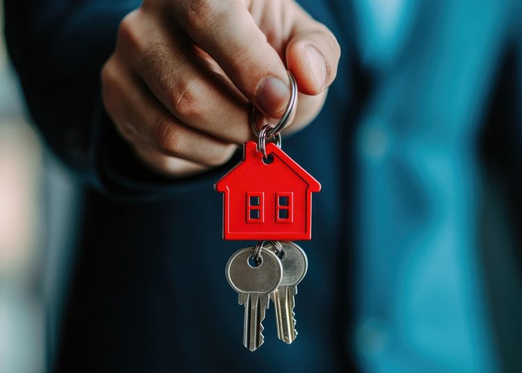 Фото: pixabay.com