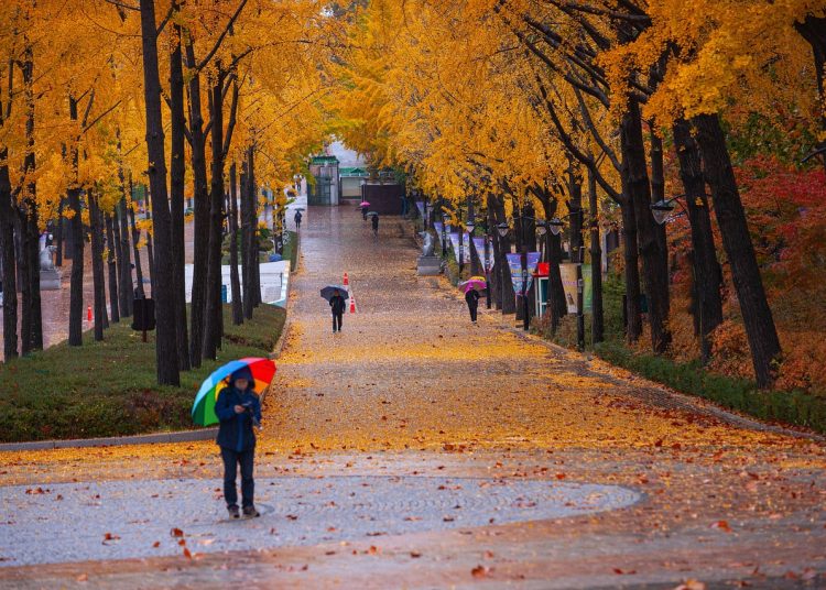 Жаңбыр, найзағай: Ертең ШҚО-да ауа райы қандай болады?