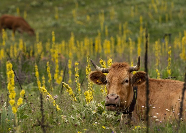 Фото: pixabay.com