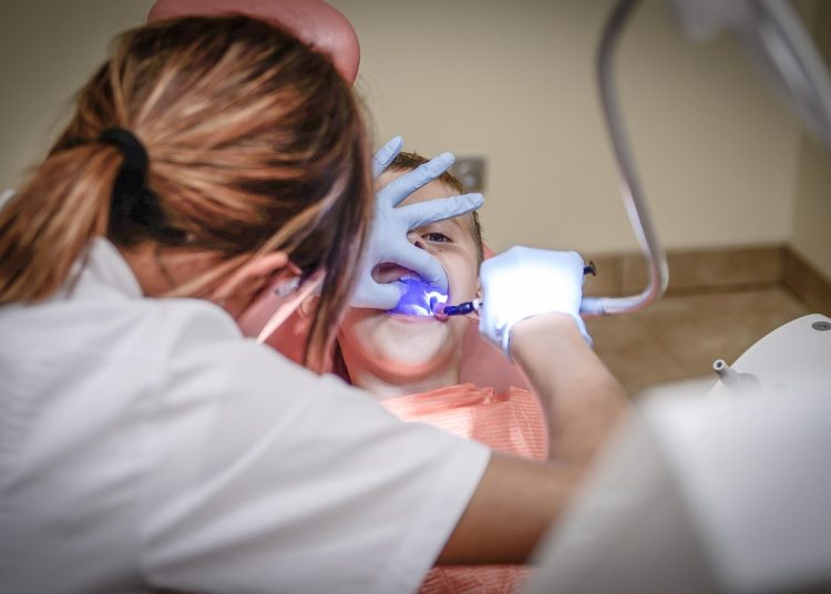 Фото: pixabay.com