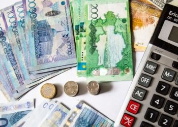 Несиесі бар отбасылар атаулы әлеуметтік көмектен қағылуы мүмкін