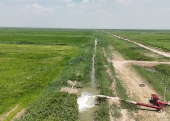 Су ресурстарының бірыңғай цифрлық платформасы жасалады