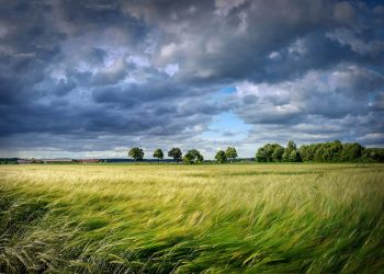 Ертең жел күшейіп, жаңбыр жауады – ШҚО