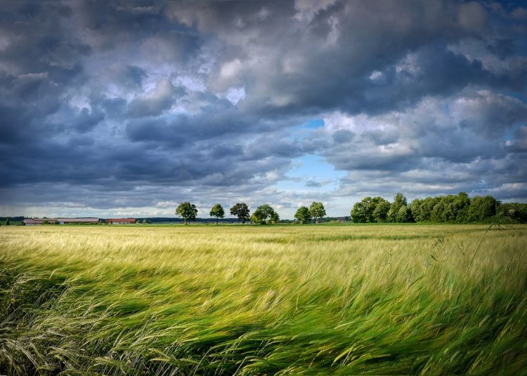 Ертең жел күшейіп, жаңбыр жауады – ШҚО