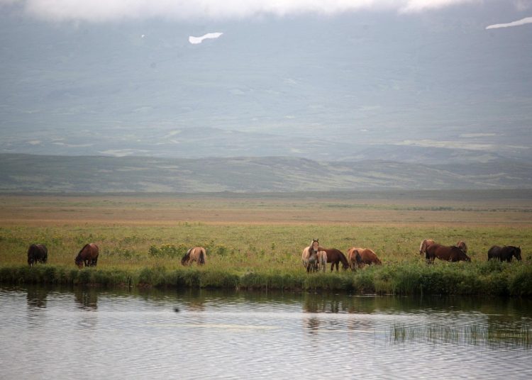 Фото: pixabay.com