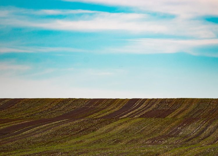 Самар мен Марқакөлде жоспар орындалмады: ШҚО-да 80 мың гектар жер мемлекетке қайтарылды