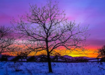 Шығыста қар жаууы мүмкін: синоптиктер ескертті