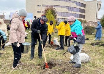 Таза Қазақстан: Өскеменде 100 түп көшет егілді