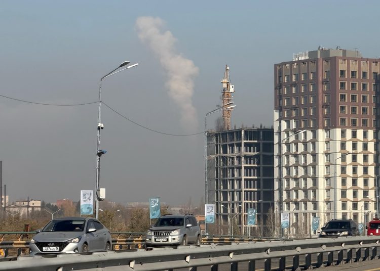 Фото: Мерей Қайнарұлы