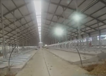 Құрылыс кезінде экология талаптары бұзылған — ШҚО