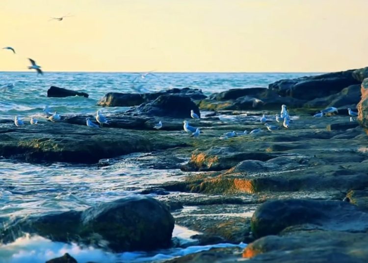 Фото: ашық дереккөздерден алынды