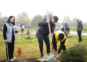 «Таза Қазақстан»: Өскемендегі Амфитеатр аумағына 100-ден астам көшет отырғызылды