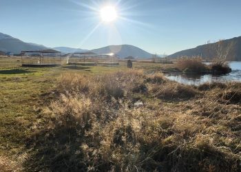 Алдағы үш күнде ауа райы қандай болады?