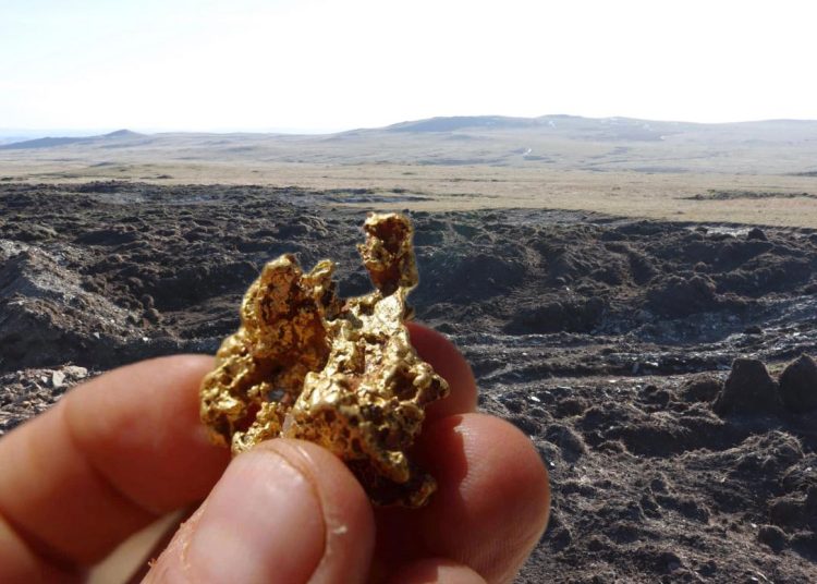 Фото: Коллаж/Tereze