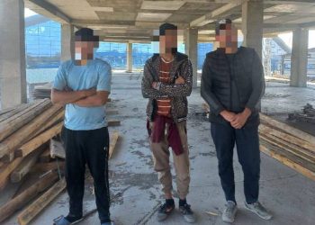 «Заңсыз келуші-2025»: көші-қон заңнамасын бұзған 191 адам анықталды