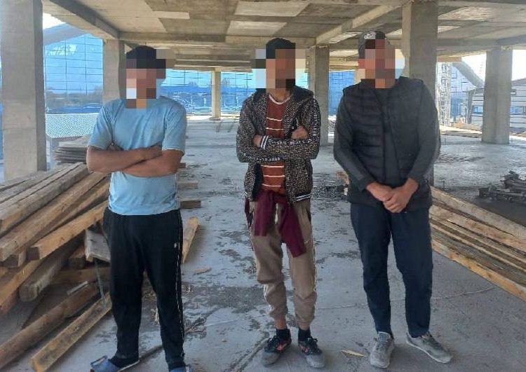 «Заңсыз келуші-2025»: көші-қон заңнамасын бұзған 191 адам анықталды