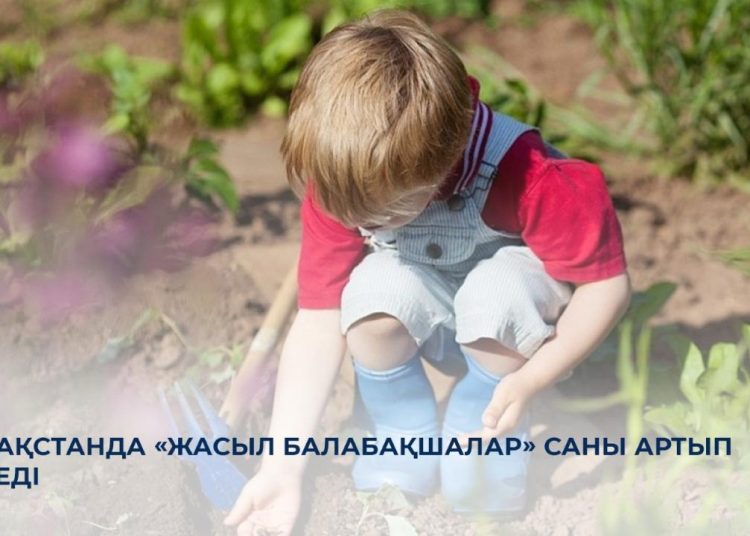 Елімізде «Жасыл балабақшалар» саны артып келеді